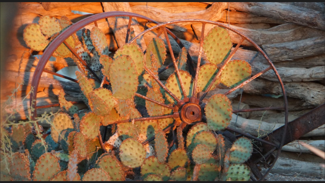 Slideshow Image
