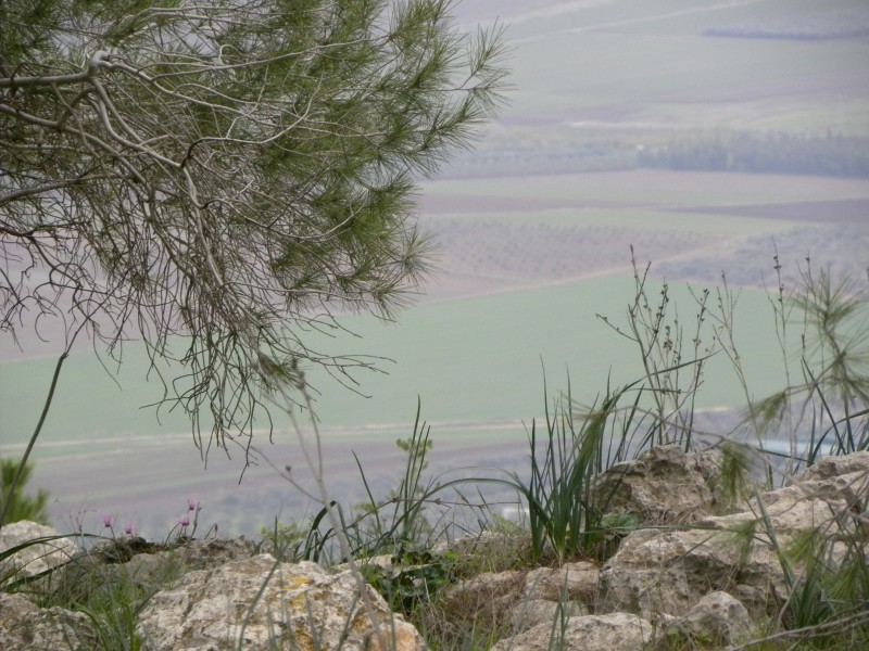Slideshow Image